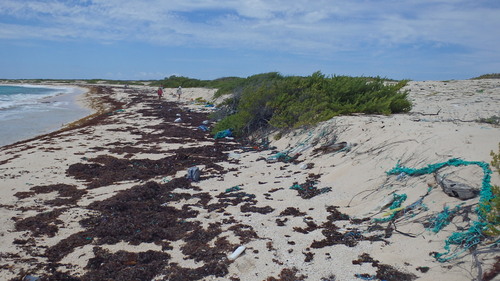 Barbuda séjour à Spanish point