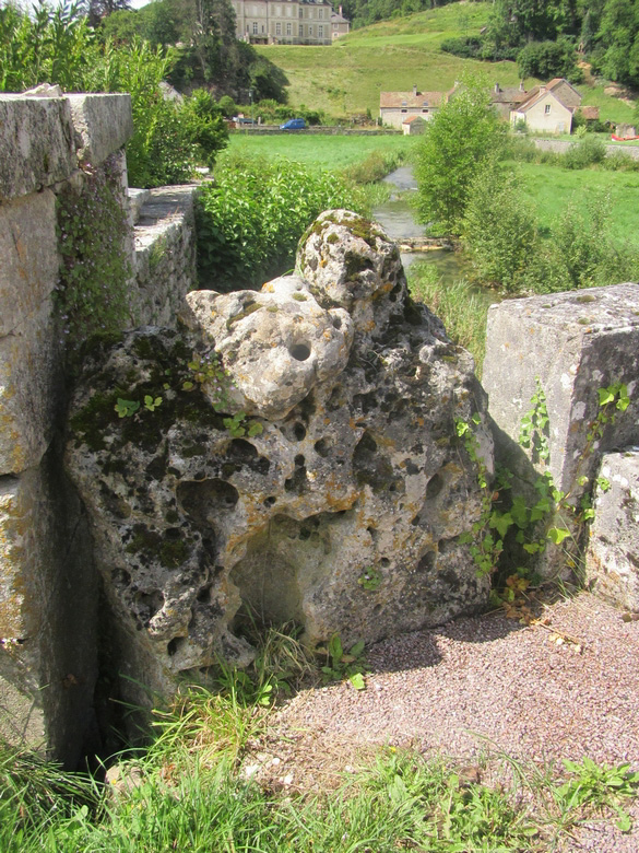 L'étang de Rochefort sur Brevon