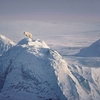 loup arctique (69).jpg