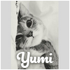 Yumi.cat