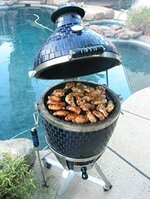Wood Burning BBQ Grills - Buy Electric, Charcoal and Propane Grills At Best Prices