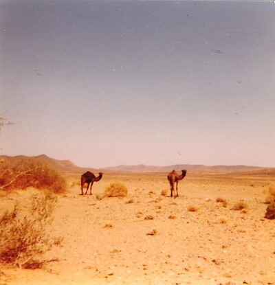 LE RAID DE MON FILS GD SUD MAROCAIN AVEC L'ATHENEE DE JUMET