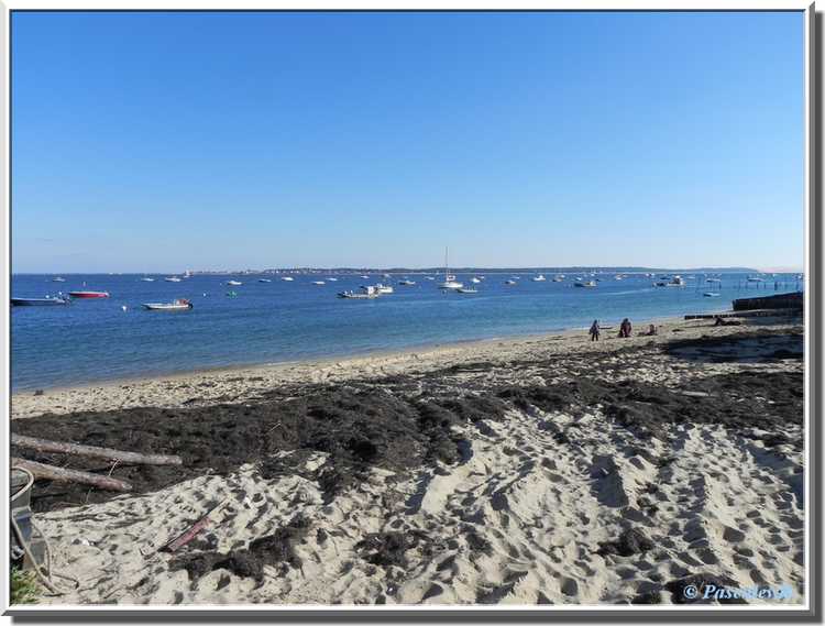 Village de L'Herbe sur le Bassin d'Arcachon