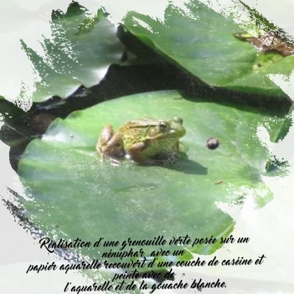 Dessin et peinture - vidéo 3340 : Comment peindre une grenouille sur un nénuphar ? - gouache et aquarelle.