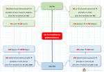 Cartes mentales - Orthographe