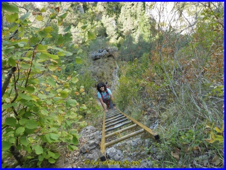 Gorges du Tarn les échelles de Cinglegros