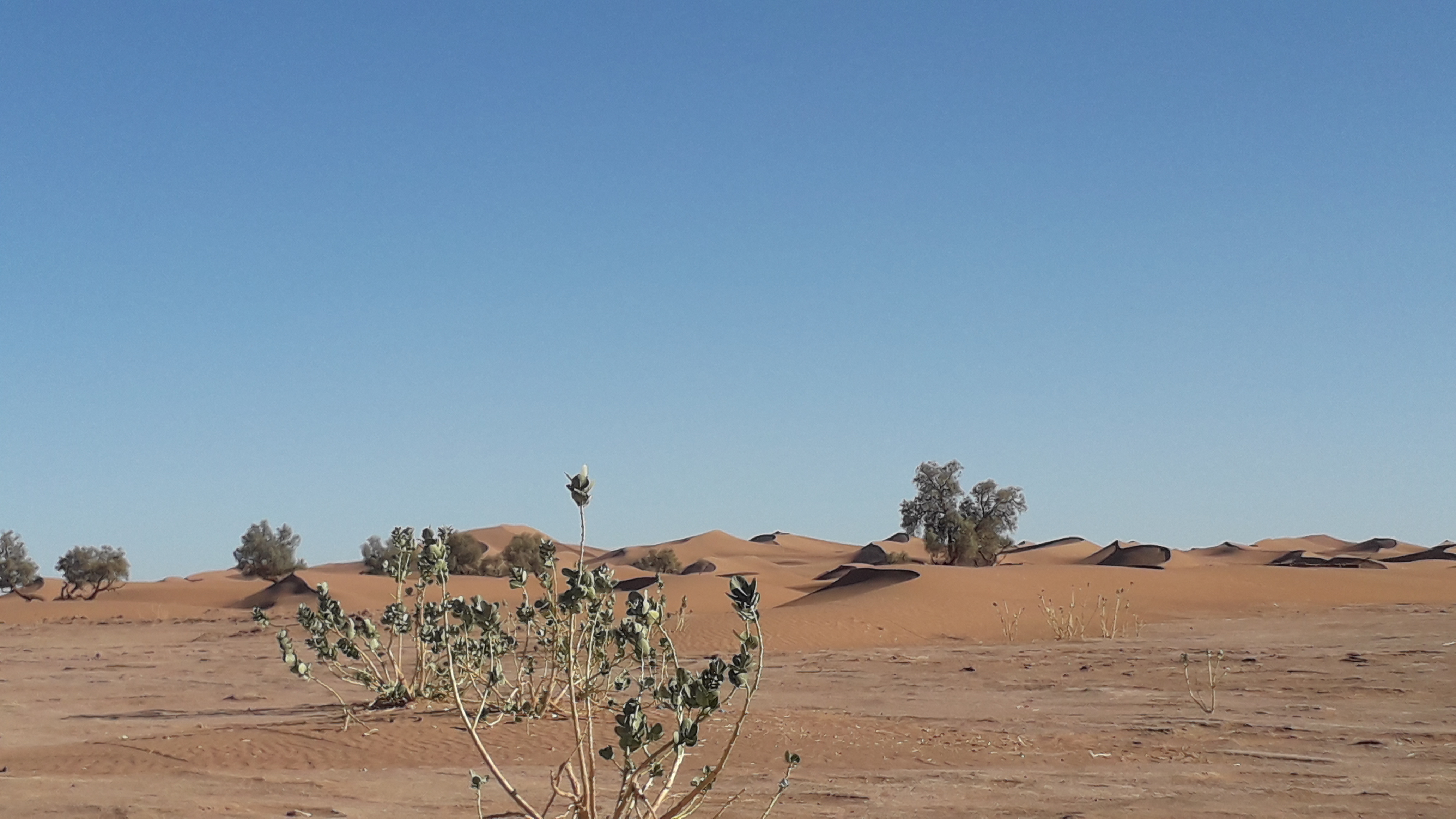 Sand River Bivouac au pied de dunes