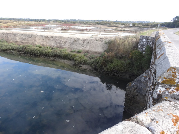 En passant par les marais