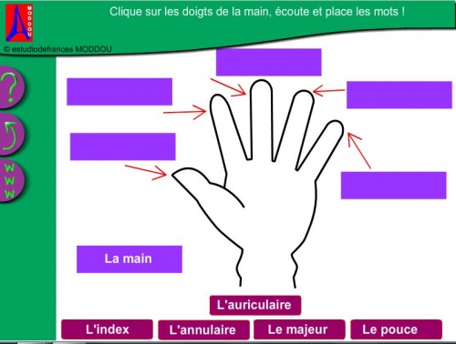 Moddou FLE