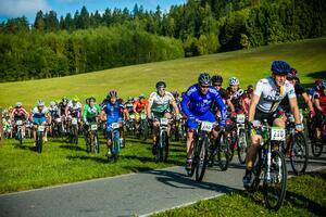 walking bicycle forest mountain 