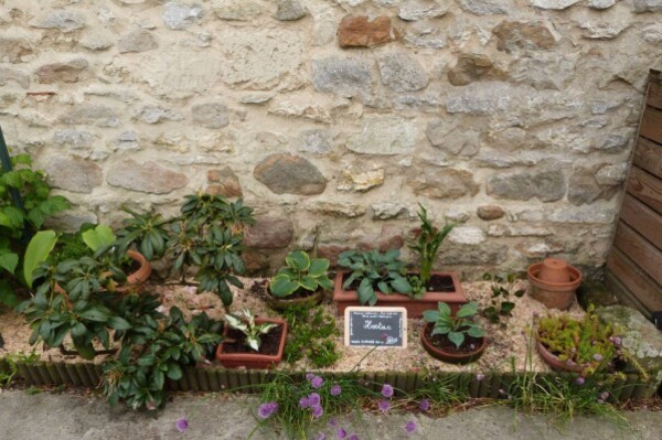 massif-des-hostas.jpg