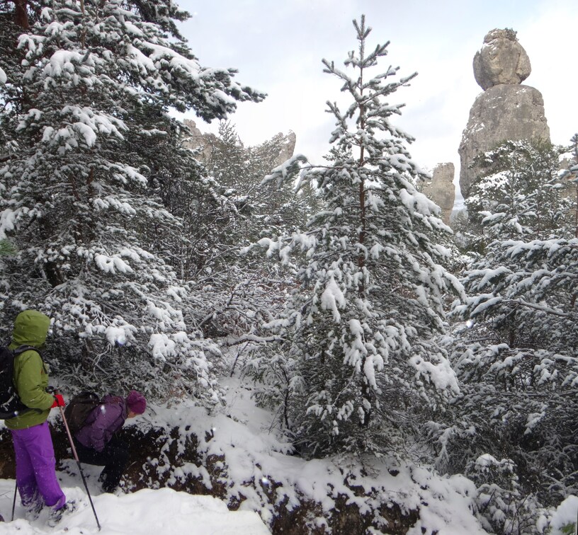 Neiges et rochers du Cauuse noir