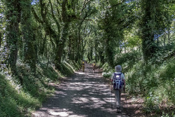 24 mai 2017 :13e jour de marche : Portomarin - Palas de Rei