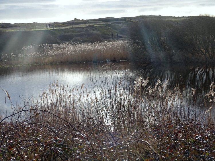 Fort bloqué - L'étang du Loch - Guidel plage