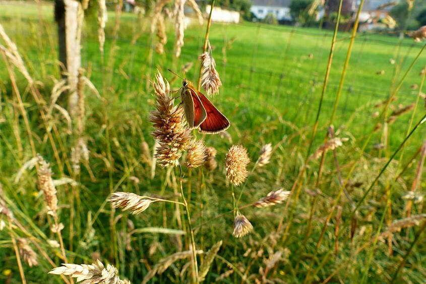 Que la nature est belle!