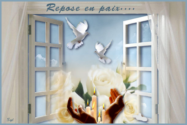 Blog en pause