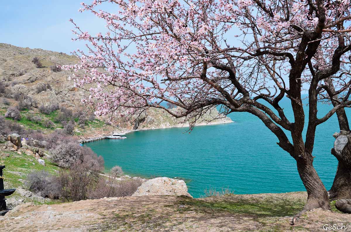 akdamar turquie lac van