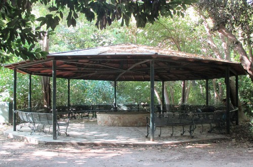 Le jardin national à Athènes