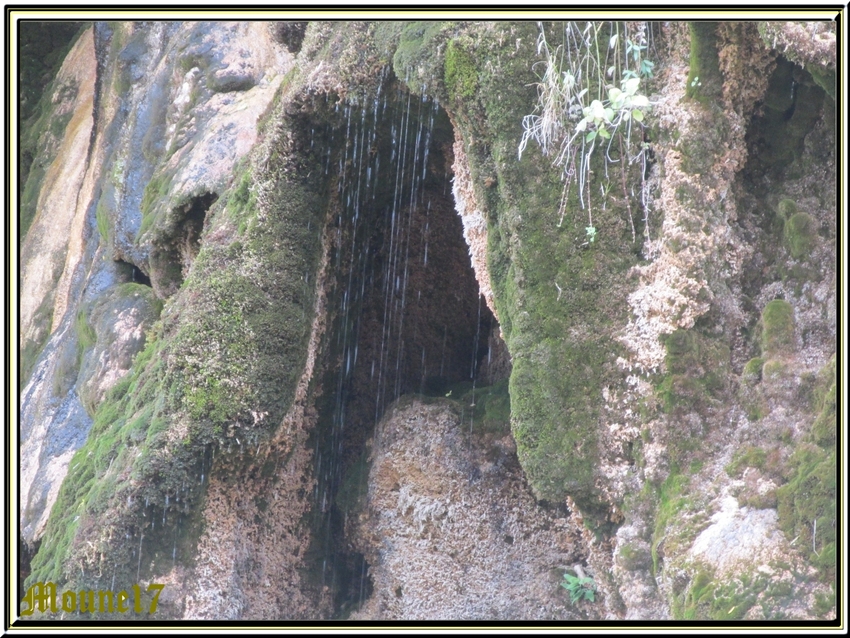 Le rio Juncar, la cascade su rio cuervo 