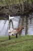 La randonnée du 5 mars à May-sur-Orne