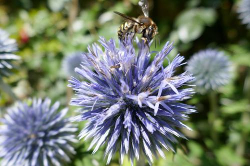 Le cartoscope du mardi 30 juillet 2024