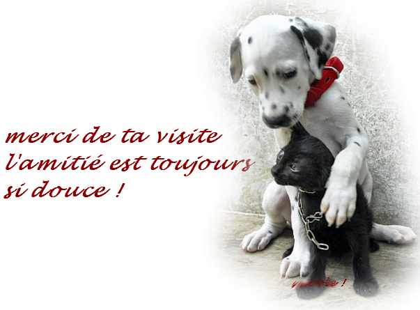   En Confidences !!!                          