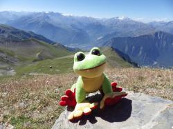 mascotte en montagne