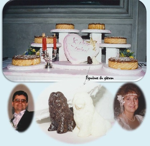 27 ans - Noces d'acajou