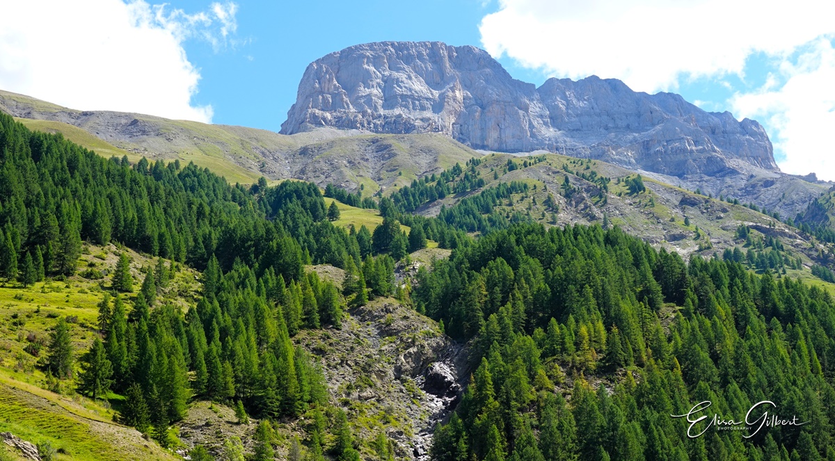 Le Vallon du Laverq