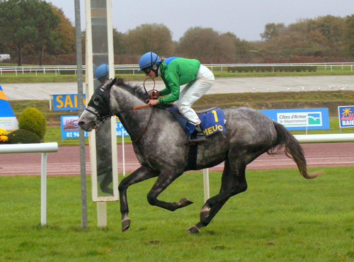 Hippodrome de la Baie Yffiniac - Réunion du 11 novembre 2017