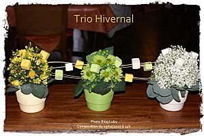 02 02 02 2010 trio hivernal vue ensemble