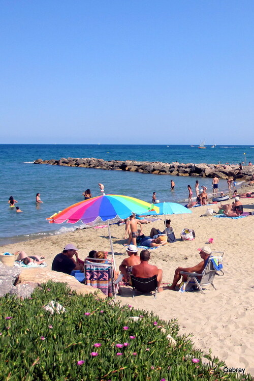 Barcarès 66 : la plage en août 2016 ! n1