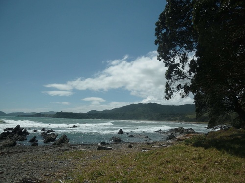 Waipiro Bay