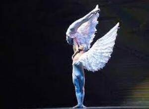 dance ballet ange wings ballet 