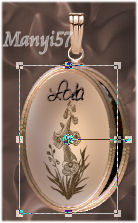 Animációs Medal