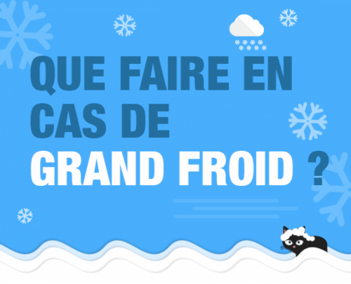 Précautions grand froid