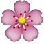 11/5/20 : Fleurs...de mon jardin  (1/2) - Poésie & Histoire fleurs