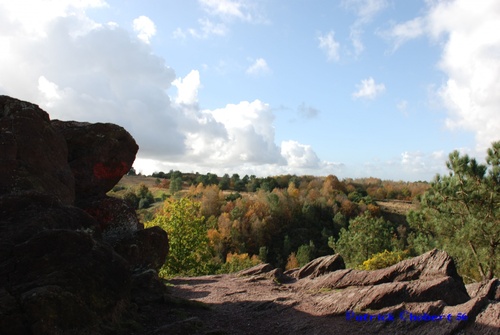 Le Val sans retour et Trehorenteuc 56430