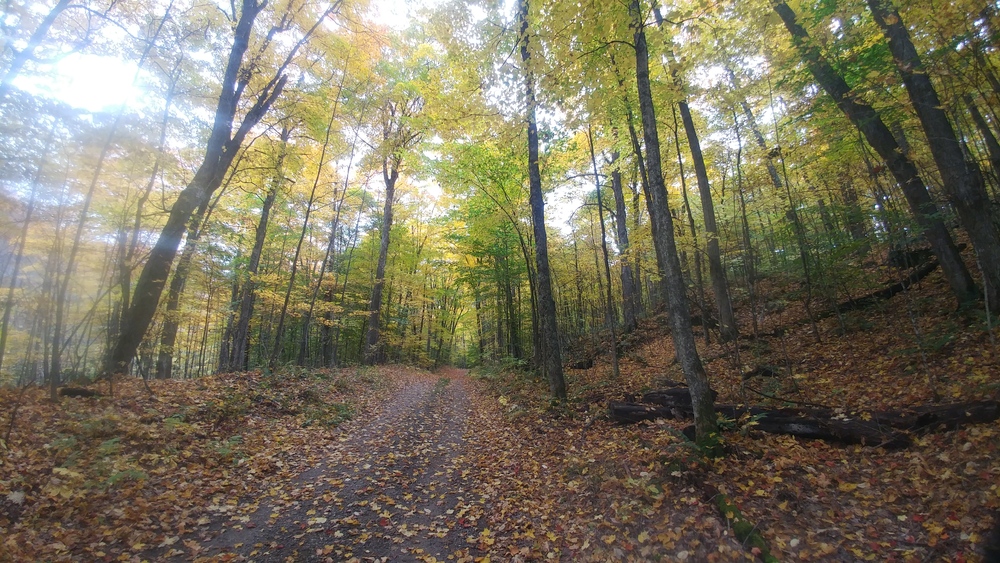 From Wakefield to Chelsea via Gatineau Park on October 9th 2021