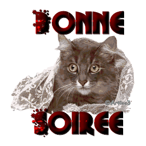 Résultat de recherche d'images pour "bonne soirée humour"