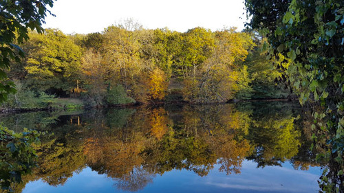 L'automne est bien arrivé