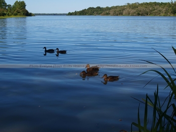 Lac3Août2012 (16)