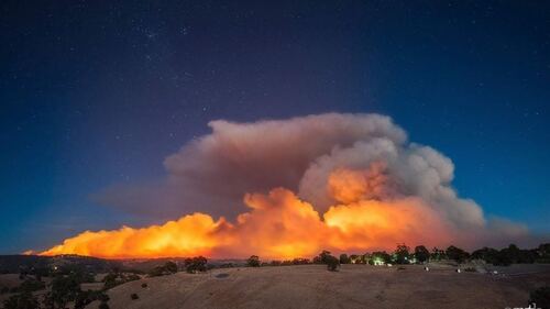 Big Bushfire In The South Of Australia