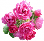 Tubes Fleurs - Divers