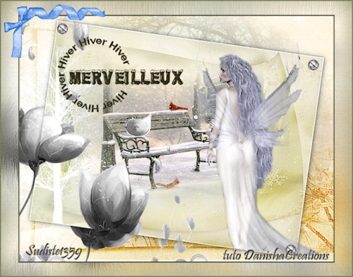 GALERIE MERVEILLEUX HIVER