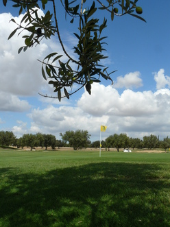 Réservation Golf au parcours Flamingo à Monastir - Tarifs et Informations - Tunisie