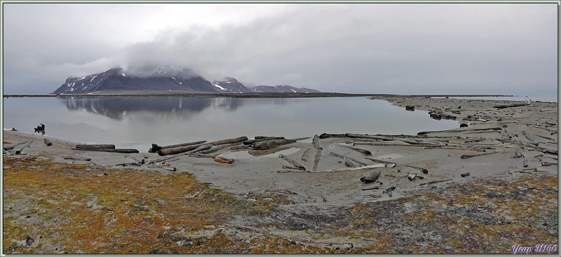 Toujours à l'ancienne station baleinière de Smeerenburg - Ile Amsterdamøya - Svalbard - Norvège