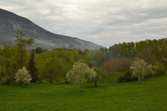 2014.04.20 Route fleurie (Drôme, Rhone-Alpes)