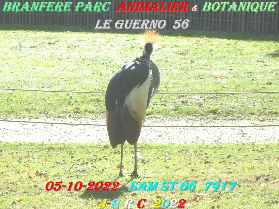 PARC DE BRANFERE 56190 LE GUERNO:  15/15   D  10-05-2023