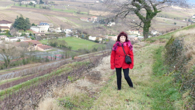 Un tour dans les vignes...